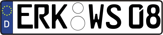ERK-WS08