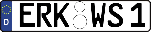 ERK-WS1