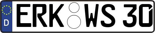 ERK-WS30