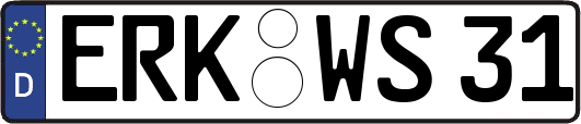 ERK-WS31