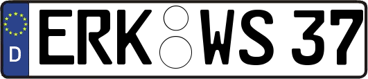 ERK-WS37