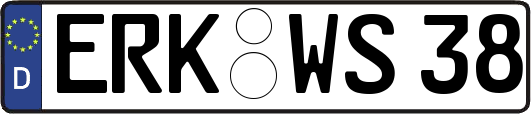 ERK-WS38