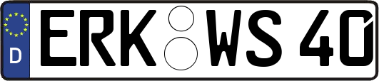 ERK-WS40