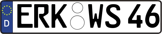 ERK-WS46