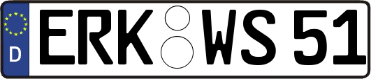 ERK-WS51