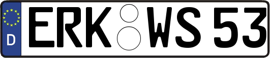 ERK-WS53