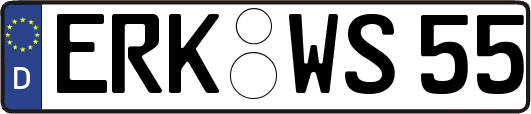 ERK-WS55