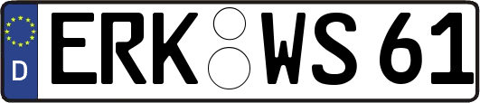 ERK-WS61