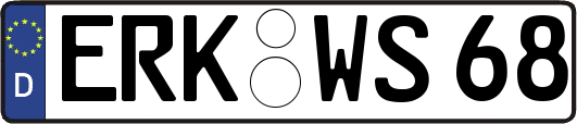 ERK-WS68