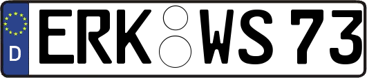 ERK-WS73