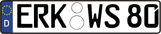 ERK-WS80