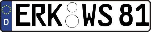 ERK-WS81