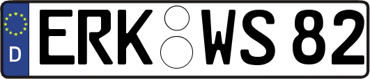 ERK-WS82