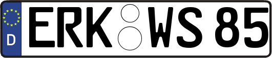 ERK-WS85