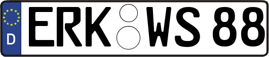 ERK-WS88