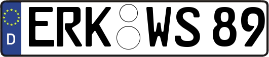 ERK-WS89