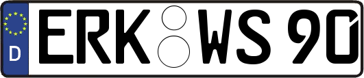 ERK-WS90