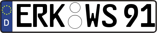 ERK-WS91