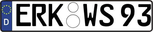 ERK-WS93