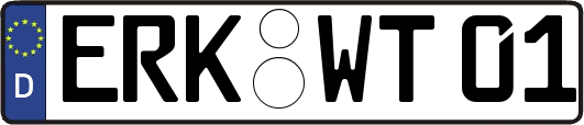 ERK-WT01