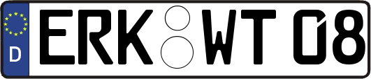 ERK-WT08