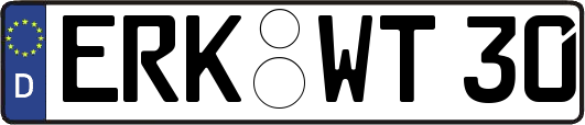 ERK-WT30