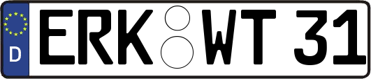 ERK-WT31