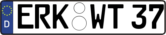 ERK-WT37
