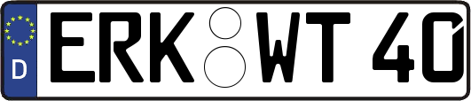 ERK-WT40
