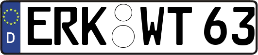 ERK-WT63