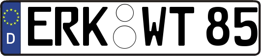 ERK-WT85