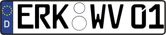 ERK-WV01