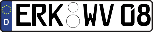 ERK-WV08