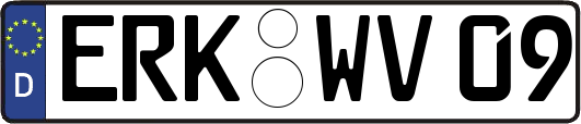 ERK-WV09