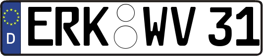ERK-WV31
