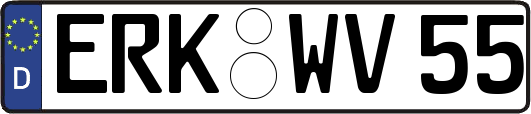 ERK-WV55