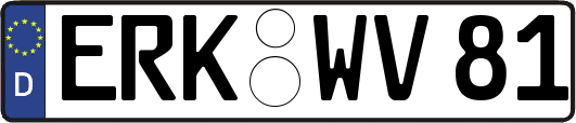 ERK-WV81