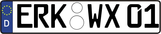 ERK-WX01