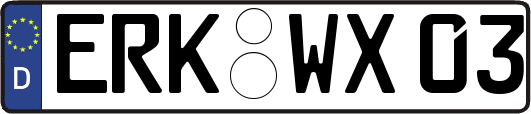 ERK-WX03