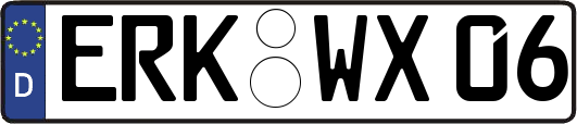 ERK-WX06