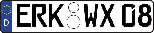 ERK-WX08
