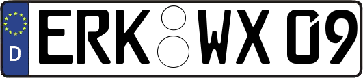 ERK-WX09