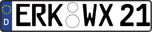 ERK-WX21