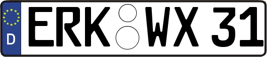ERK-WX31