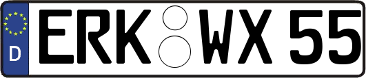 ERK-WX55