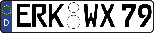 ERK-WX79