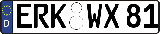 ERK-WX81