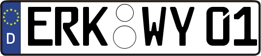 ERK-WY01