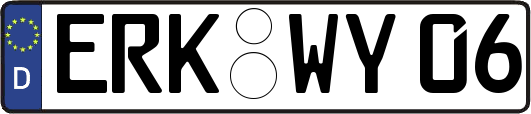 ERK-WY06