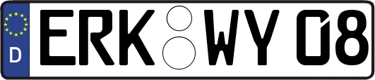 ERK-WY08